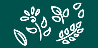 アイコン：植物
